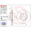 BREMBO 09.A621.11 - Jeu de 2 disques de frein avant