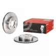 BREMBO 09.A919.10 - Jeu de 2 disques de frein avant