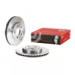 BREMBO 09.A969.10 - Jeu de 2 disques de frein avant