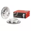 BREMBO 09.B591.10 - Jeu de 2 disques de frein arrière
