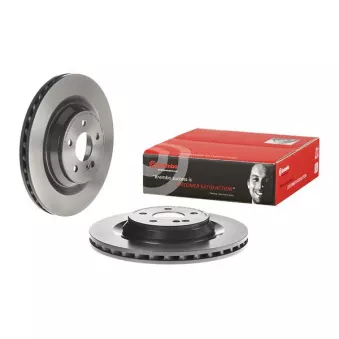 Jeu de 2 disques de frein arrière BREMBO OEM 2304230812