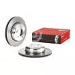 Jeu de 2 disques de frein avant BREMBO [09.C402.13]