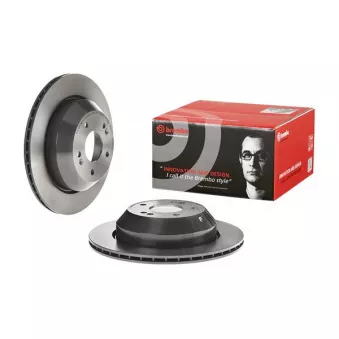 Jeu de 2 disques de frein arrière BREMBO 09.C503.11