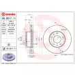 BREMBO 09.D017.11 - Jeu de 2 disques de frein avant