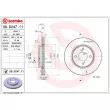 BREMBO 09.D247.11 - Jeu de 2 disques de frein avant