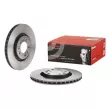 Jeu de 2 disques de frein arrière BREMBO [09.D420.11]