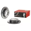 BREMBO 09.D569.11 - Jeu de 2 disques de frein arrière