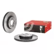 Jeu de 2 disques de frein avant BREMBO [09.D624.11]