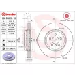 BREMBO 09.D905.13 - Jeu de 2 disques de frein avant