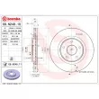 BREMBO 09.N248.11 - Jeu de 2 disques de frein avant