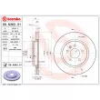 BREMBO 09.N363.31 - Jeu de 2 disques de frein arrière