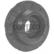 CORTECO 507213 - Suspension, radiateur