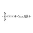 CORTECO 551516B - Soupape d'échappement