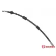 BREMBO T 06 009 - Flexible de frein