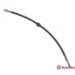 Flexible de frein BREMBO [T 06 012]