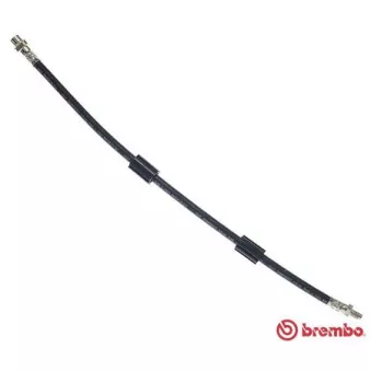Flexible de frein BREMBO OEM 34301166118