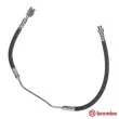 BREMBO T 06 014 - Flexible de frein