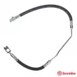 BREMBO T 06 015 - Flexible de frein