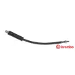BREMBO T 06 018 - Flexible de frein