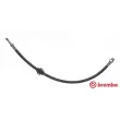 BREMBO T 06 020 - Flexible de frein