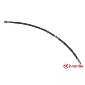 BREMBO T 06 037 - Flexible de frein