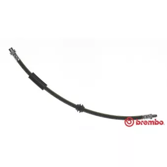 BREMBO T 06 038 - Flexible de frein