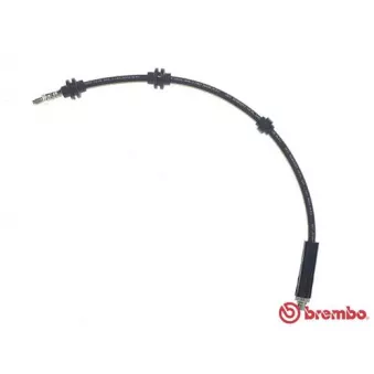 Flexible de frein BREMBO OEM 34306799424