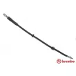 BREMBO T 06 053 - Flexible de frein