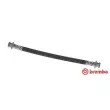 BREMBO T 10 002 - Flexible de frein