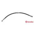 BREMBO T 10 007 - Flexible de frein