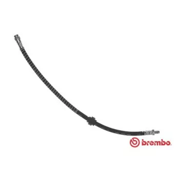 Flexible de frein BREMBO T 11 015 pour CITROEN XSARA 1.6 16V - 109cv