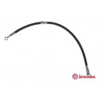 Flexible de frein BREMBO OEM 96335933