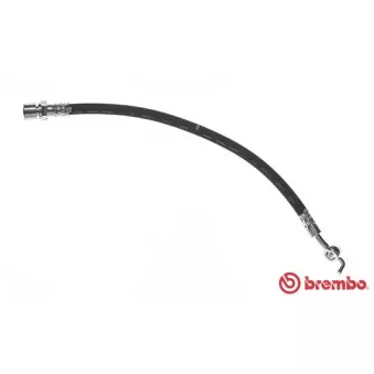 BREMBO T 15 008 - Flexible de frein