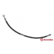 Flexible de frein BREMBO [T 15 011]