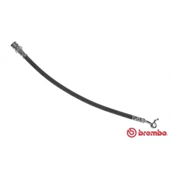 BREMBO T 15 015 - Flexible de frein