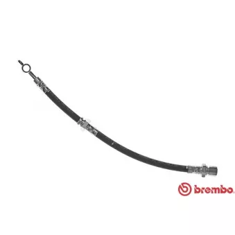 BREMBO T 15 016 - Flexible de frein