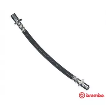 BREMBO T 16 017 - Flexible de frein