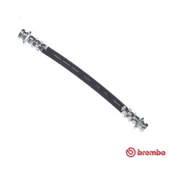 BREMBO T 16 028 - Flexible de frein