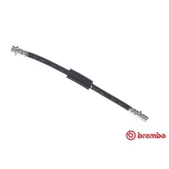 BREMBO T 16 030 - Flexible de frein