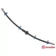 BREMBO T 23 005 - Flexible de frein