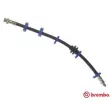 BREMBO T 23 011 - Flexible de frein
