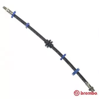 Flexible de frein BREMBO OEM 0000007609087