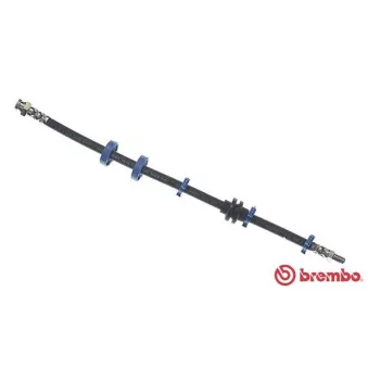 BREMBO T 23 024 - Flexible de frein