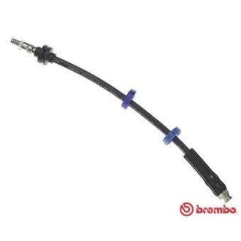 Flexible de frein BREMBO OEM 46423177