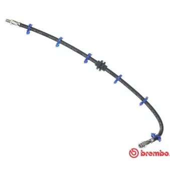 BREMBO T 23 029 - Flexible de frein