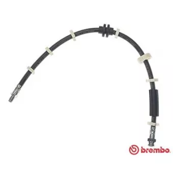 Flexible de frein BREMBO T 23 031