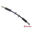 BREMBO T 23 035 - Flexible de frein
