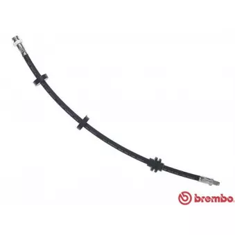 Flexible de frein BREMBO OEM 46448474