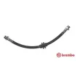 BREMBO T 23 047 - Flexible de frein