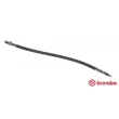 BREMBO T 23 061 - Flexible de frein